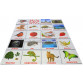 Развивающая игра Карточки Домана Мега чемодан Ламинация на русском языке «Вундеркинд с пеленок» - 23 набора