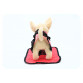 Інтерактивна музична іграшка «Гламурна собачка Кіккі»