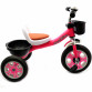 Велосипед дитячий триколісний Best Trike Рожевий (LM-2806)