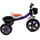 Велосипед дитячий триколісний Best Trike Фіолетовий (LM-1355)