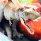 Фигурка динозавра Jurassic world Опасный Ти-рекс Тиранозавр (GLC12)