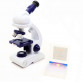 Наукова іграшка Мікроскоп c підсвічуванням 80х-450х (C2129)