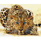 Картина за номерами ідейка «Дика кішка» 40x50 см (КНО2450)