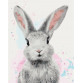 Картина за номерами ідейка «Цукровий кролик» 40x50 см (КНО4067)