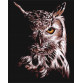 Картина за номерами ідейка «Мудра сова» 40x50 см (КНО4167)
