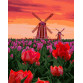Картина за номерами ідейка «Тюльпани на заході» 40x50 см (КНО2275)