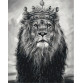 Картина за номерами ідейка «Король лев» 40x50 см (КНО4079)