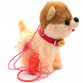 Інтерактивна м'яка іграшка «Собака на повідку 2», ходить, крутить хвостом, гавкає, співає на англ, 23 см