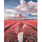 Картина за номерами ідейка «Рожева мрія» 50x40 см (кно4603)