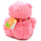 Мягкая игрушка Kinder Toys «Медвежонок» Love Baby №8/4, 30 см (00705-20)