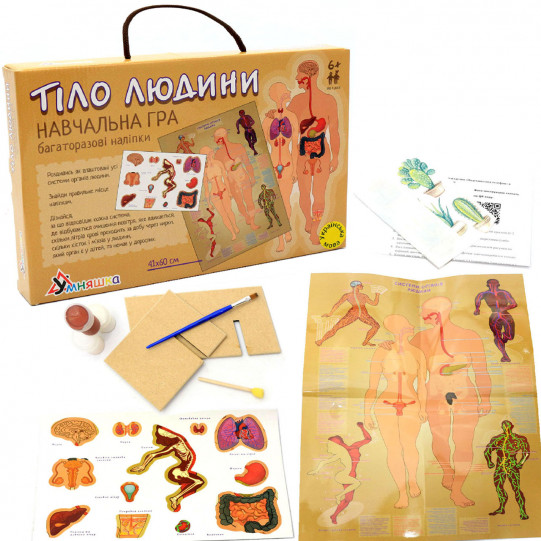 Настольная игра Умняшка обучающая с многоразовыми наклейками «Тело человека», от 6 лет (КП-004у)
