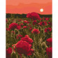 Картина за номерами ідейка «Макова поляна» 40x50 см (КНО3579)