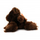 Мягкая игрушка собачка «Кузя» Копыця, коричневый, лает, 23*23*10 см, (25328)