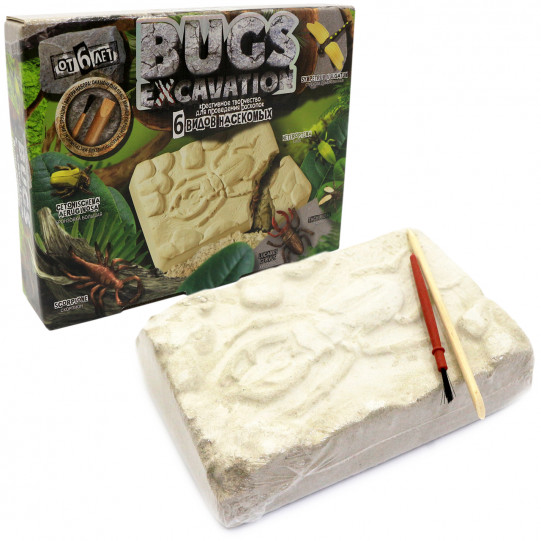 Раскопки насекомых Жуки «Bugs Excavation» Danko Toys, 6 видов, 24*20*5 см (BEX-01-02)