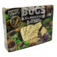 Раскопки насекомых Жуки «Bugs Excavation» Danko Toys, 6 видов, 24*20*5 см (BEX-01-01)
