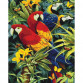 Картина по номерам Идейка «Разноцветные подружки» 40x50 см (КНО4028)