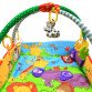 М'який килимок для малюка Alexis Baby Mix Zoo, кільця, знімні дуги, 92x105 см (Q/3261C)