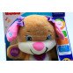 Фирменная интерактивная игрушка «Сестричка умного щенка» Fisher-Price ( укр. яз) DKK15