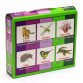 Развивающая игра Карточки Домана Випуск 1 Світ тварин «Вундеркинд с пеленок» - 6 наборов арт.096495