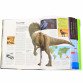 Енциклопедія для дітей Ранок - «Динозаври. Енциклопедія », рос. яз, 192 стор, 8 + (N901472Р)