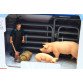 Игровой набор Zhongjieming Toys «Ферма» животные, фигурки (Q9899-X11)