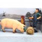 Ігровий набір Zhongjieming Toys Фермер, півень, свиня Q9899-T8