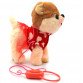 Інтерактивна м'яка іграшка «Собака на повідку 8», ходить, крутить хвостом, гавкає, співає на англ, 23 см