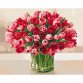 Картина за номерами ідейка «Пекучі тюльпани» 40x50 см (КНО3058)