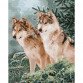 Картина за номерами Ідейка «Вовчий погляд» 40x50 см (КНО4191)