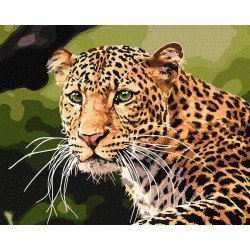 Картина за номерами Ідейка «Зеленоокий леопард» 40x50 см (КНО4322)